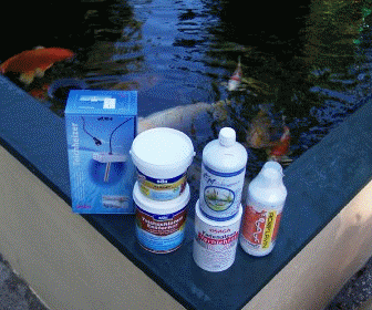 Teichprodukte für den Herbst