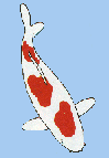 kleiner Kohaku